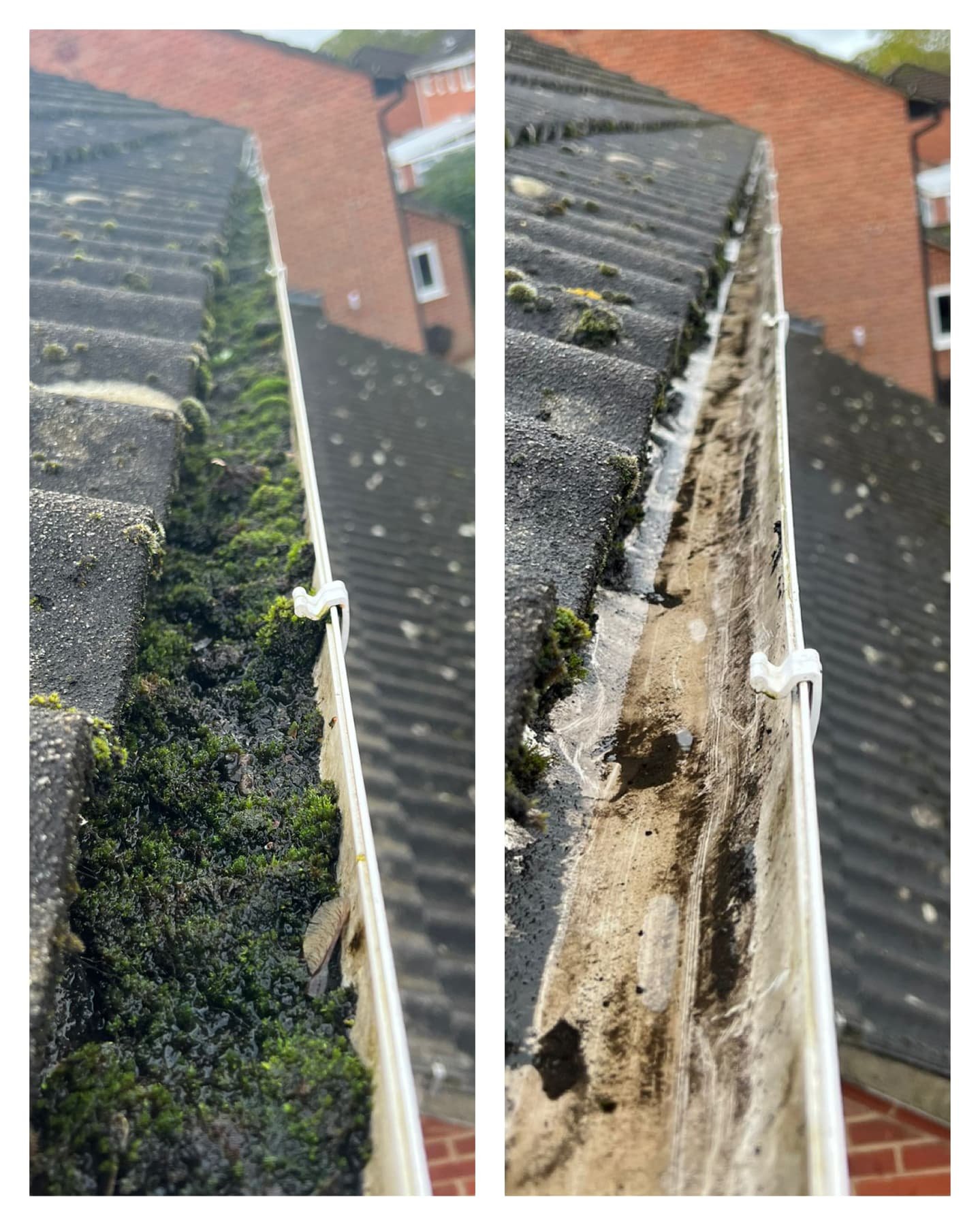Gutter packed with moss before and after clearing