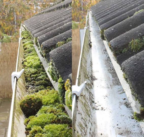 Blocked gutter full of moss before and after being cleared